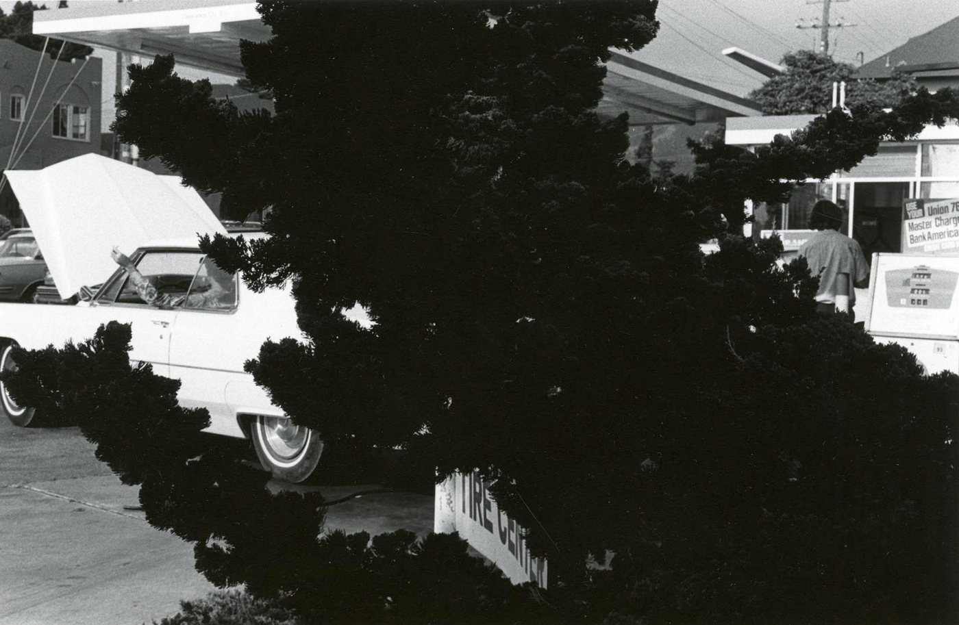 Berkeley, California, 1980